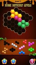 Hexagon Party Puzzle截图1