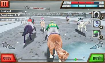 3D赛马 - Horse Racing截图3