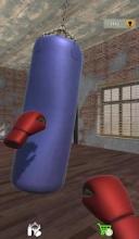 Boxing Bag Punch Simulator: 3D Heavy Punching截图3