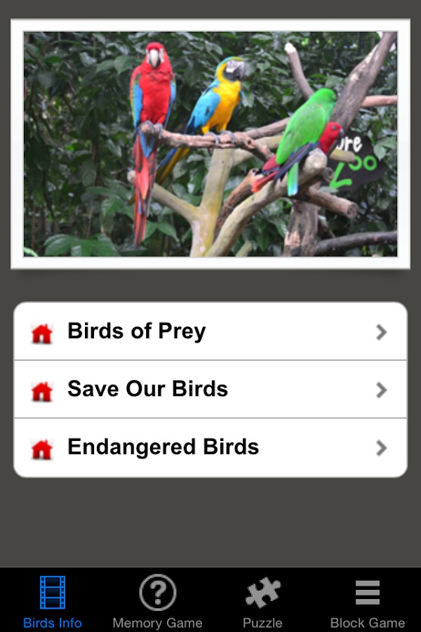 Save Our Birds截图1