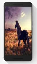 Horse Puzzle Jigsaw Game截图1