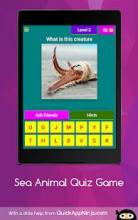 sea animal quiz game截图5