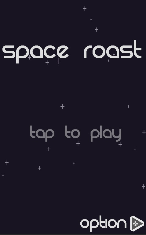 Space Roast截图1