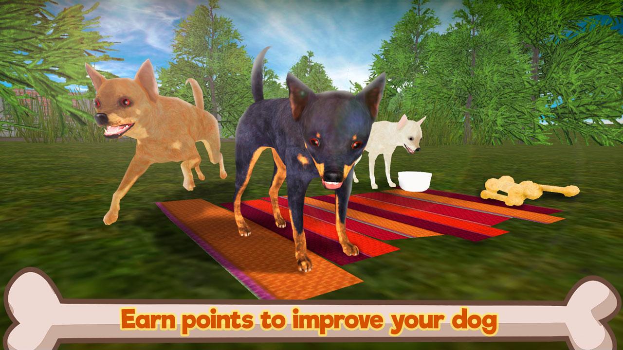 Chihuahua Dog Simulator 3D截图4