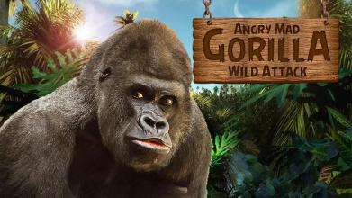 Angry Mad gorilla Wild Attack截图4