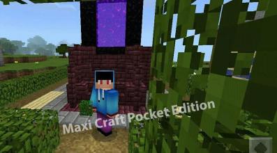 Maxi Craft Pocket Edition截图2