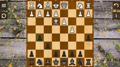 Chess Echecs 3D Free截图2