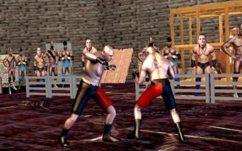 Ultimate Tag Wrestling Team Backyard Fighter截图3