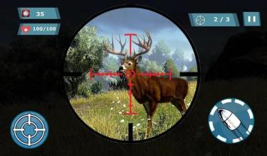 Sniper Hunting Deer截图1