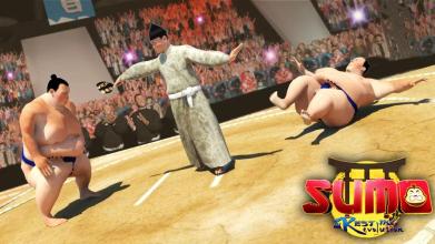 SUMO WRESTLING - GRAND SUMO GAME : REVOLUTION 2K18截图1