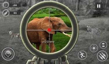 Animal Hunting Mission : African Wildlife Survival截图1