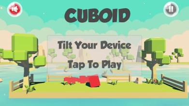 Cuboid: Rolling Cube截图5