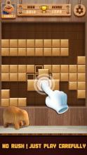 Block Puzzle - Block Game 2018截图3