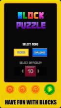 Puzzle Brick Block - Addictive Puzzle Game截图5