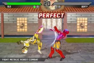 Robot Karate Fight: Kung Fu Fight Games截图4