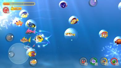 Hungry Fish 3D截图4