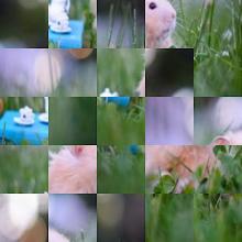 Hamster Puzzle Jigsaw Game截图2