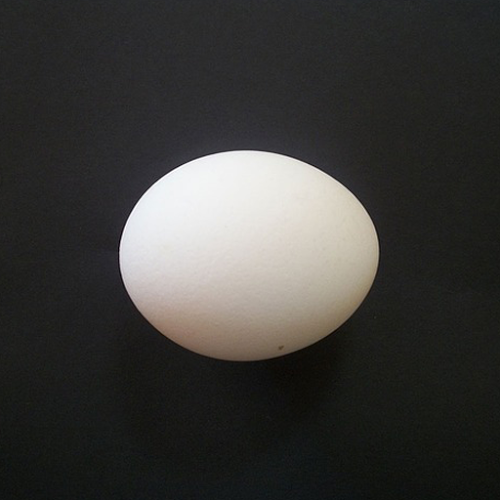 鸡蛋截图2