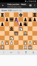 Chess Tactics Pro (Puzzles)截图3