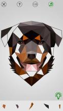 Animal Low Poly Puzzle: Paint By Numbers截图4