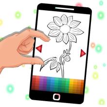 Flower Coloring Cute截图5