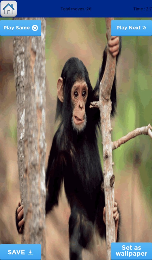 Monkey Puzzle for Kids截图4