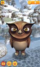 My Talking Owl截图1