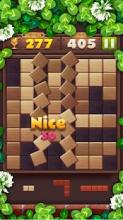 Wood Block Puzzle Master截图1