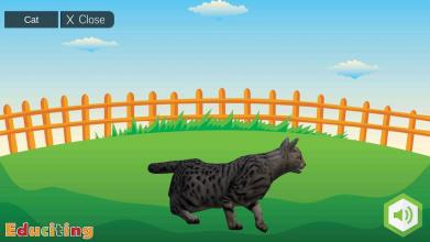 ANIMAL KINGDOM in 3D - Fun AR learning for kids截图1