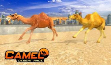 Camel Desert Race Simulator - Animals Racing 3D截图2