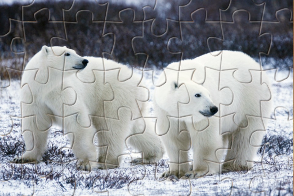 Jigsaw Animal Pic Free Edition截图4