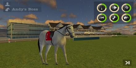 Derby Horse Quest截图3