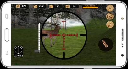 Animal Sniper Hunting截图4