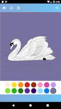 Birds Coloring Book截图1