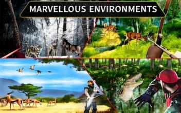 Wild Animal Archery Hunter Bird Shooting Game截图1