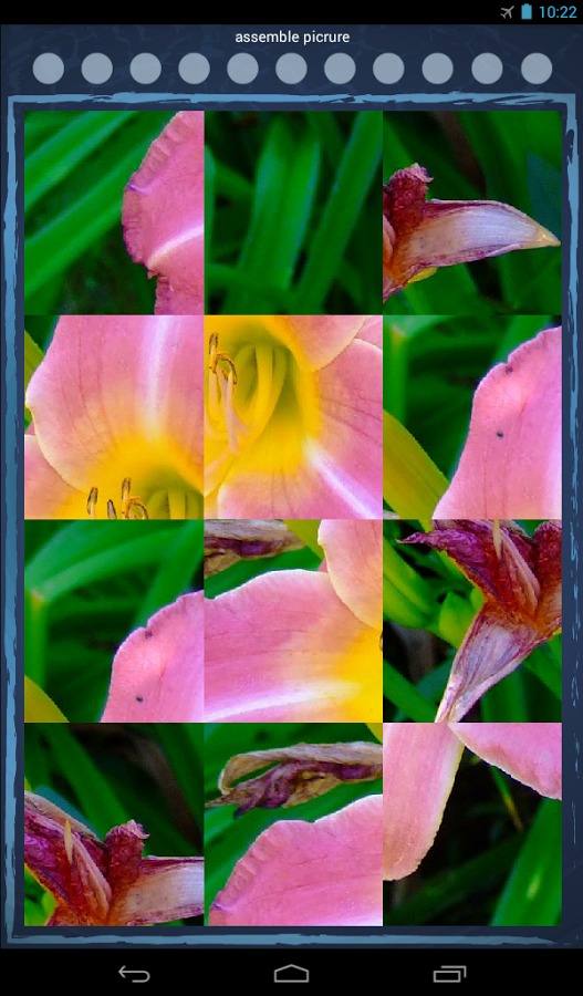 Stick-Puzzle (Flowers)截图2