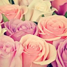 Roses Jigsaw Puzzles Games截图2