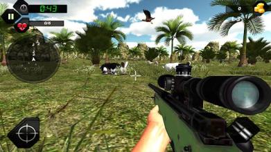 Rabbit Hunting 3D截图4