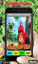 Random Angry Red Bird Puzzles截图2