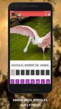 Animales – Aprende Los Mamiferos y Aves截图1