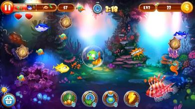 Fishing Frenzy - Hungry Fish 2019截图2