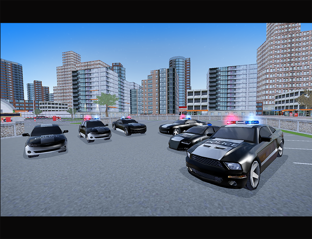 Police Academy Driving School截图2