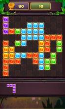 Block Puzzle Gems: Free Puzzles截图5