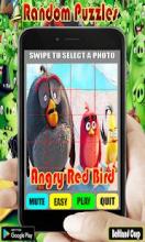 Random Angry Red Bird Puzzles截图4