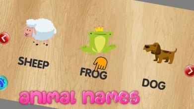 Animal Games (Puzzle, Memory, Sounds And Names)截图1