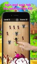 Ant Smasher - Bug Smasher截图2