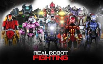 Real Robot Fighting 2018截图3