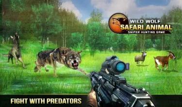 Wild Wolf Safari Animal Sniper Hunting Game截图5