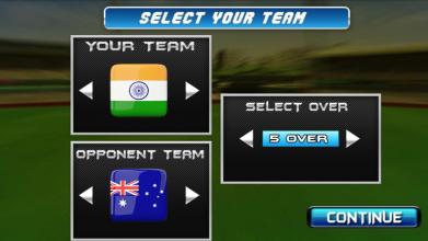 Cricket ChampionShip截图2