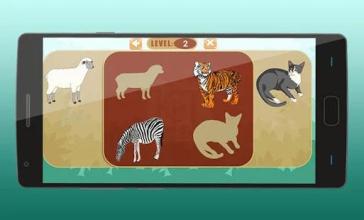 Animals Puzzles for Kids截图4